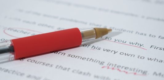 Essay Writing