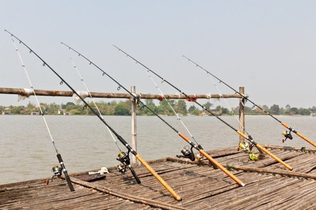 fishing line