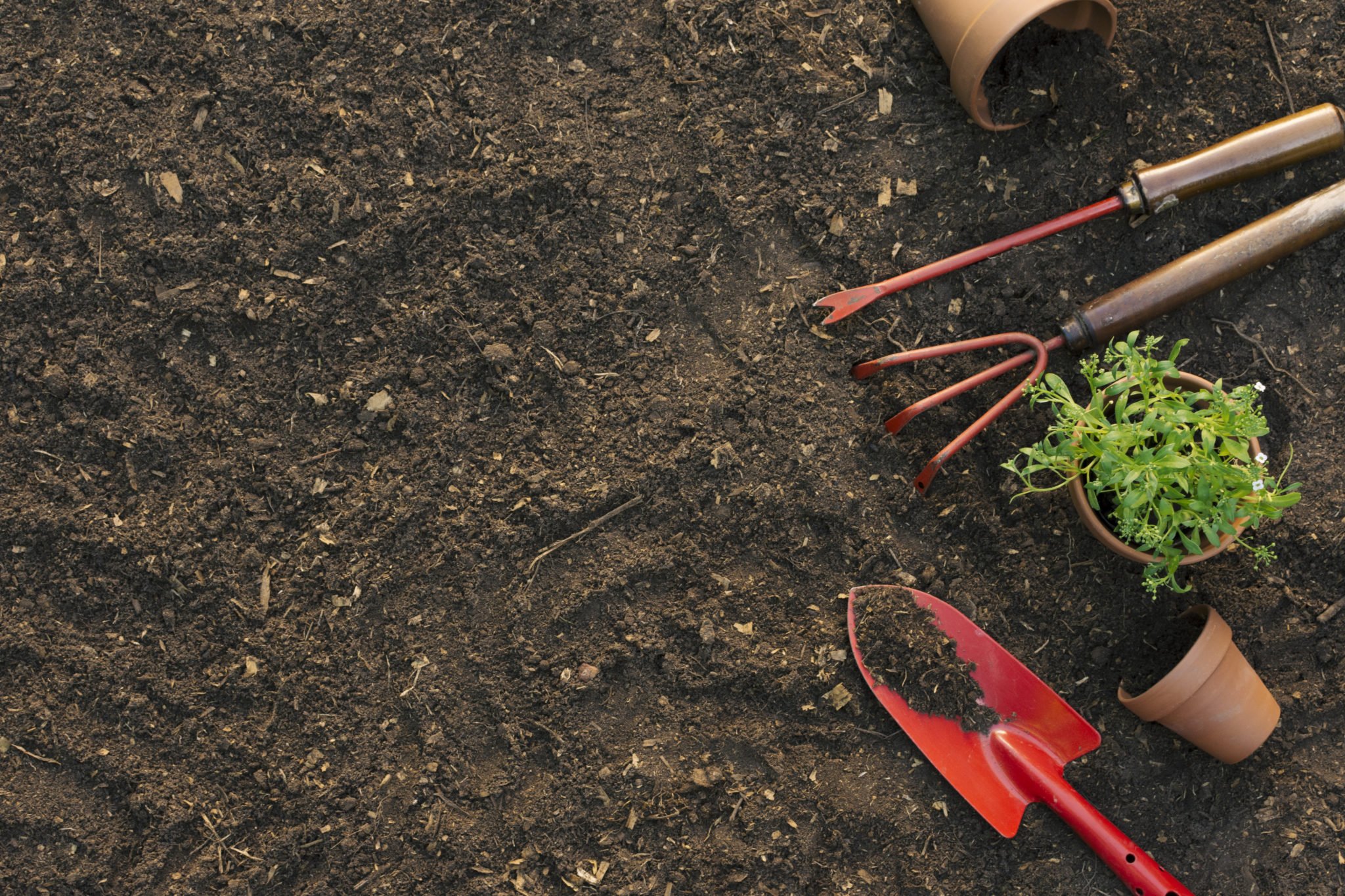 Gardening Tools