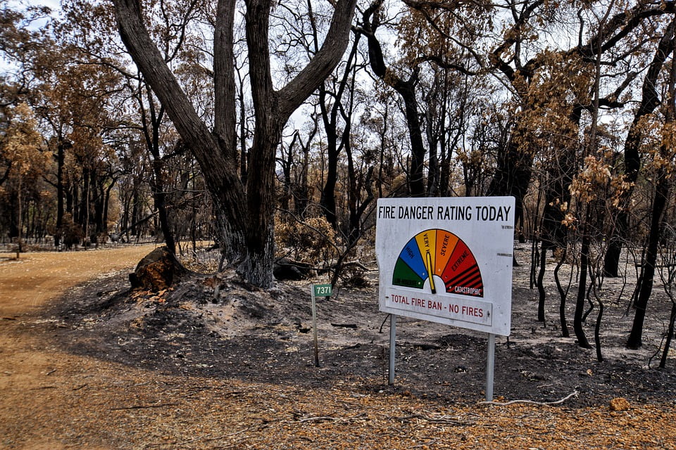 Bushfires