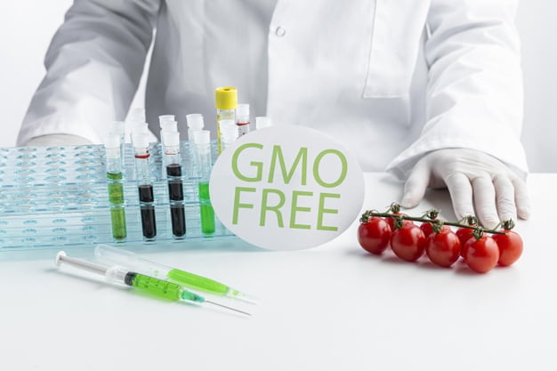 GMO test