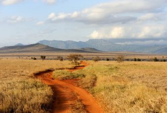 What to Do in Tanzania
