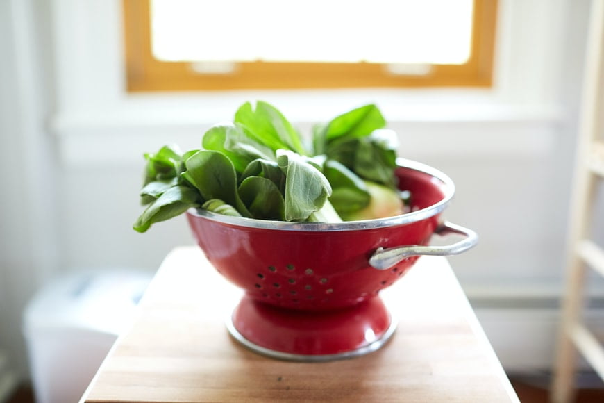 A Colander