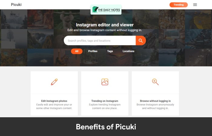 Benefits Of Picuki 