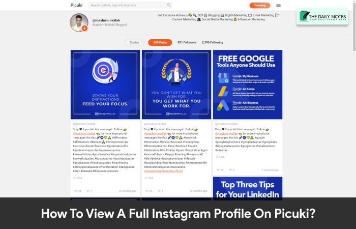 How To View A Full Instagram Profile On Picuki