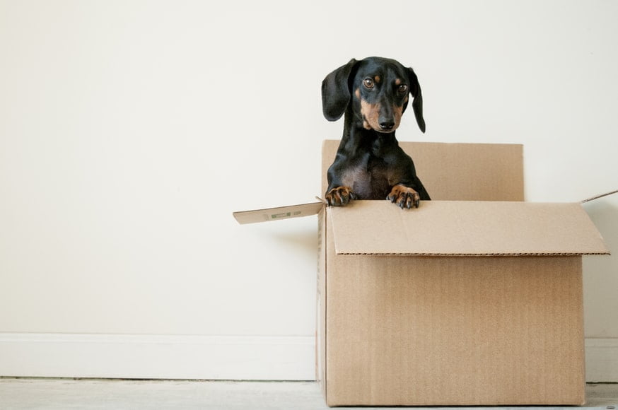 3 Tips To Make Your Moving House Project Less Of A Chore