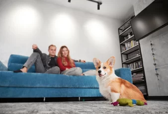 Pet-Friendly Apartment