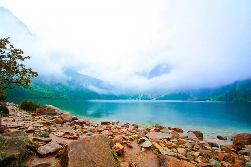 forests, mountains, lakes