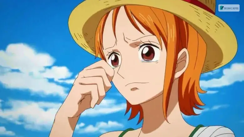 Nami AKA “Cat Burglar” - Discover The Life of Our Favorite Hero