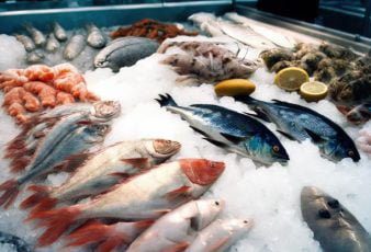 Seafood Wholesale