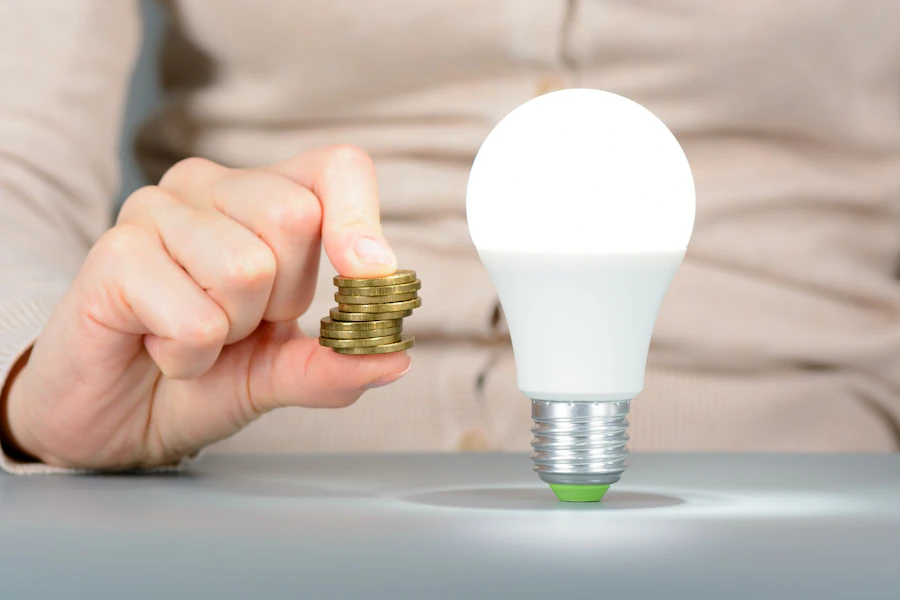 Energy-Efficient Lighting Solutions
