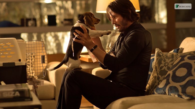 What Is The Franchise of John Wick_