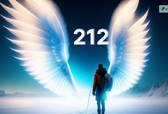 If You Are Seeing The Angel Number 212