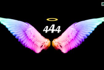 Did You Know Sucess Is Imminent If You Are Constantly Seeing 444 Angel Number_