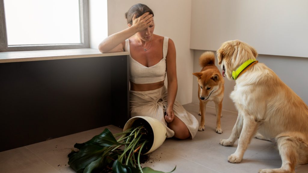 Disadvantages Of Allowing Pets In Rental Units!