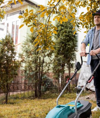Lawn Maintenance