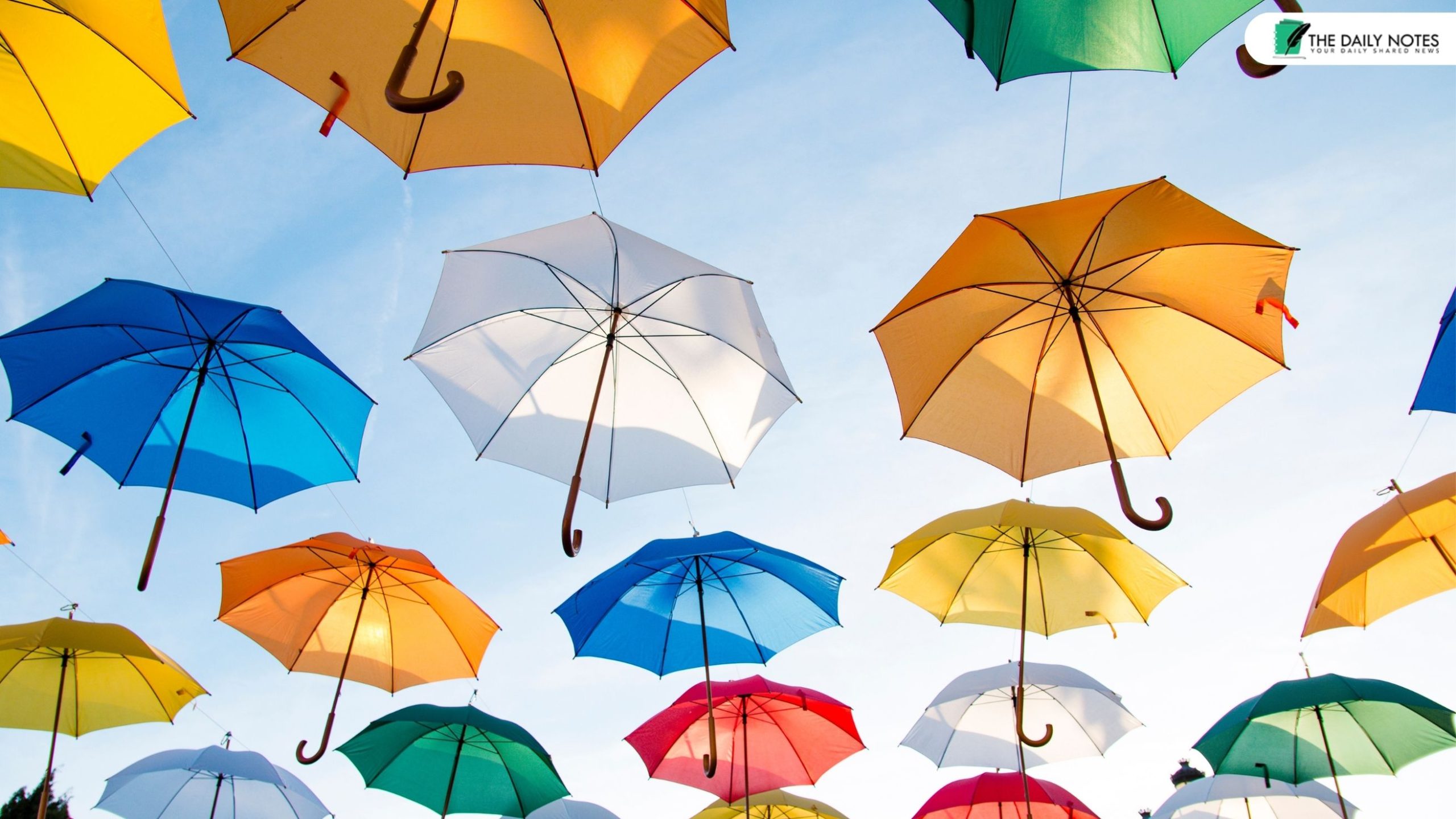Customized Umbrellas