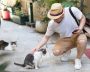 how to leash train a kitten